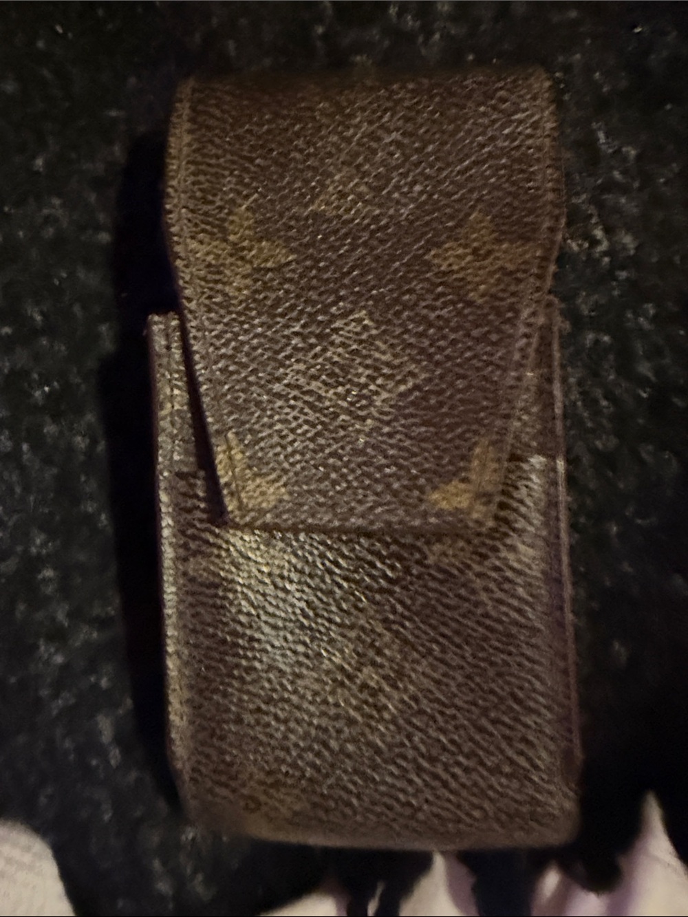 Louis Vuitton Monogram Canvas Sunglasses Sleeve in Brown and Tan